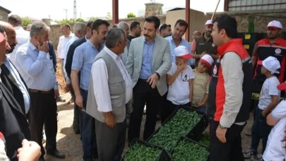 Fide ve tohum dağıtımı yapıldı