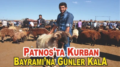 Patnos'ta Kurban Bayramı’na Günler Kala: Fiyatlar Alıcıları Zorluyor