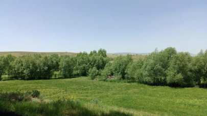 Patnos’ta Bahardan Yaza Geçiş