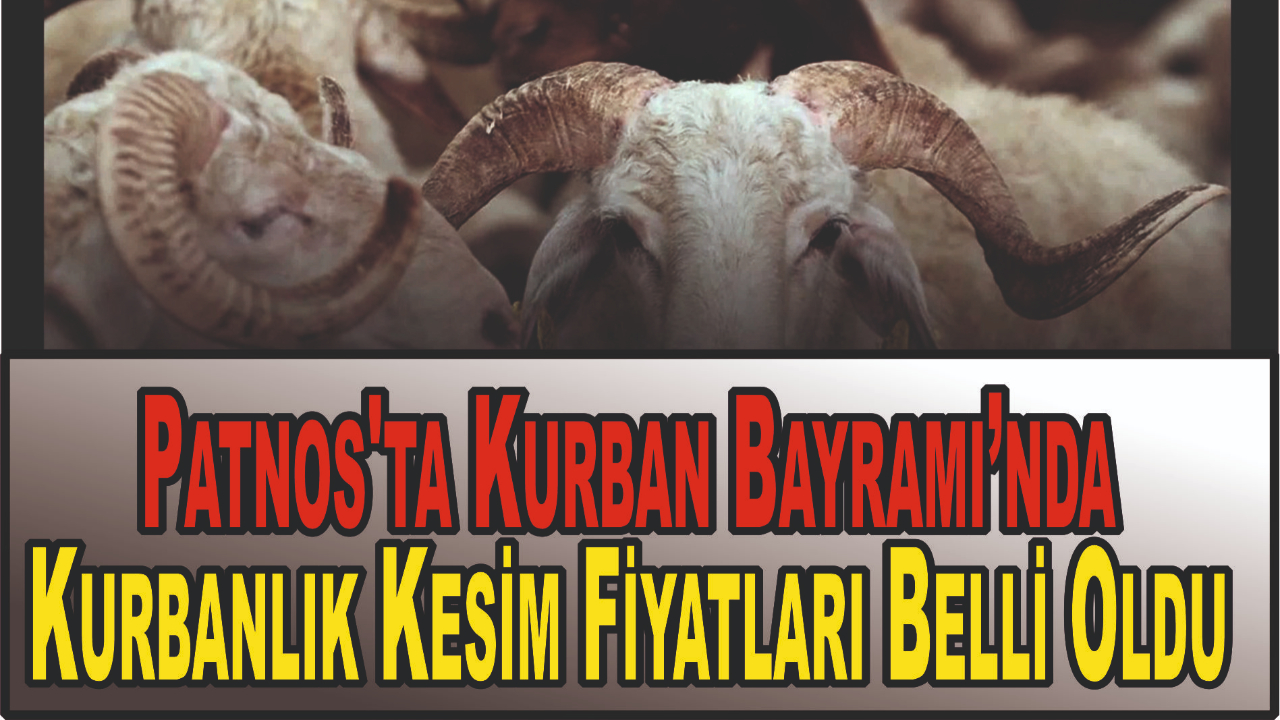 Patnos'ta Kurban Bayramı’nda Kurbanlık Kesim Fiyatları Belli Oldu