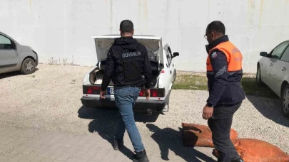 22 ton 475 kilogram kaçak avlanmış İnci Kefali geçirildi