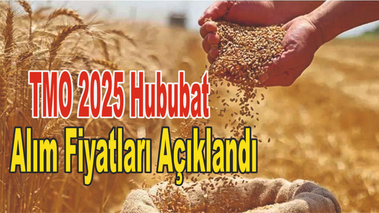 Patnos Ziraat Odası’ndan Çiftçilere Müjde