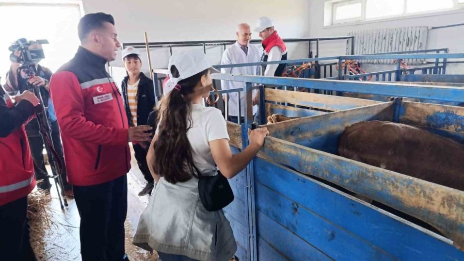Aileyle üretim yolculuğu: Modern tesislerden tandıra, nesiller buluştu