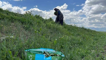 Kadınlar ‘evelik’ mesaisine başladı