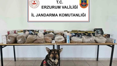 Erzurum'da Jandarma kaçak tütün operasyonu yaptı
