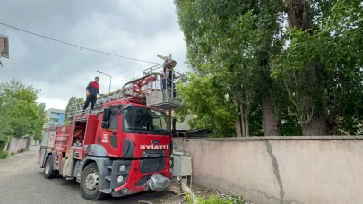 Ağrı’da Kuvvetli Rüzgar Ağacı Devirdi
