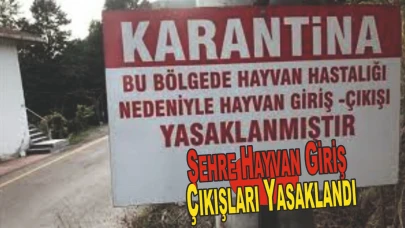 Şap Hastalığı Nedeniyle İle Hayvan Giriş Çıkışları Yasaklandı