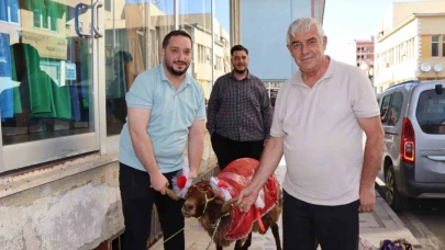 Damat nişanlısına kurbanlık koç hediye etti