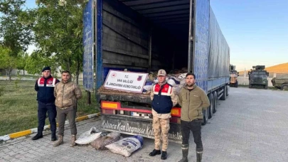 Muradiye'de 19 ton 200 kilo kaçak inci kefali balığı ele geçirildi