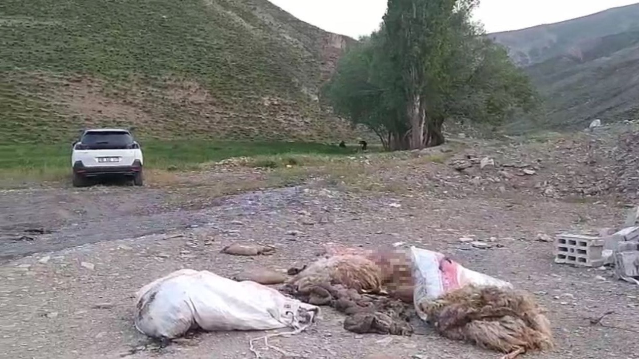 Sakatatların yol kenarına atılması vatandaşların tepkisine yol açtı