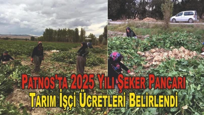 Patnos'ta 2025 Yılı Şeker Pancarı Tarım İşçi Ücretleri Belirlendi
