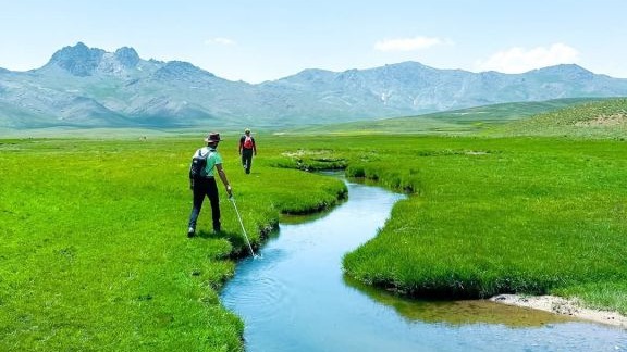 Alendeşt yaylası, menderesleri ve sarı çiçekleriyle büyülüyor