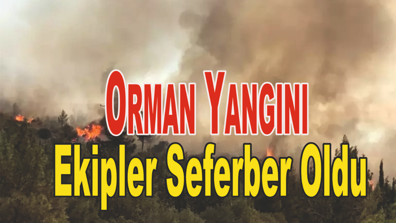 Orman Yangını: Ekipler Seferber Oldu