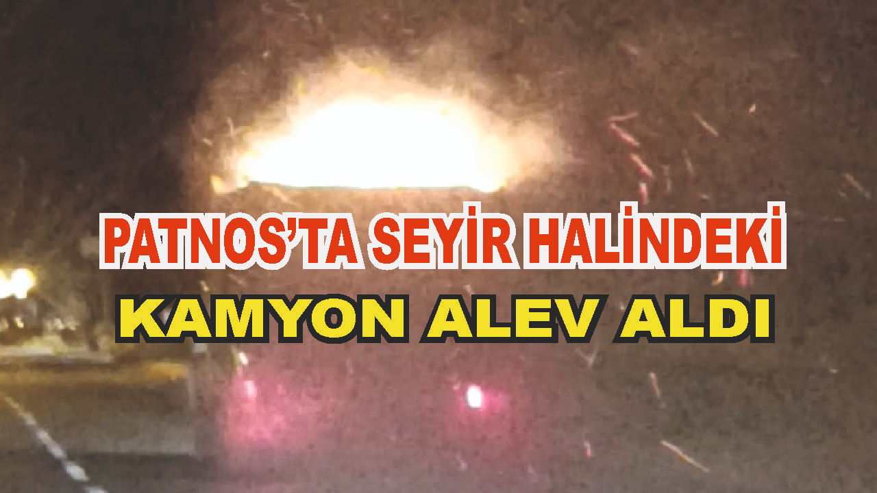 Patnos'ta seyir halindeki kamyon alev aldı (Videolu Haber)