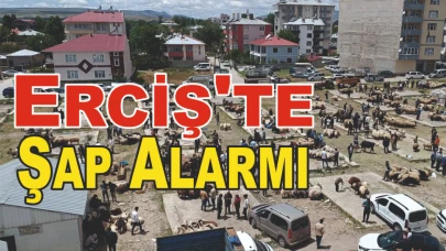 Erciş'te Şap Alarmı Hayvan Giriş-Çıkışları Yasaklandı!