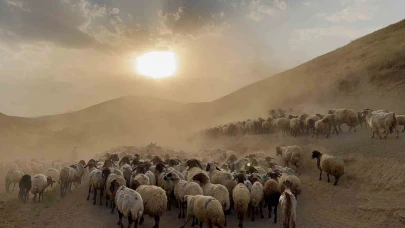 Nemrut Dağı’ndaki yaylalara zorlu ve tozlu yolculuk başladı