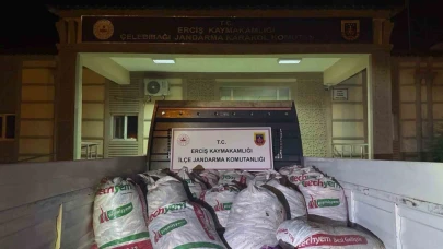 Van'da 2 ton kaçak avlanmış balık ele geçirildi