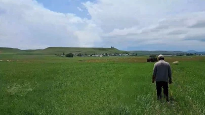 Şiddetli dolu yağışı tarım arazilerine zarar verdi