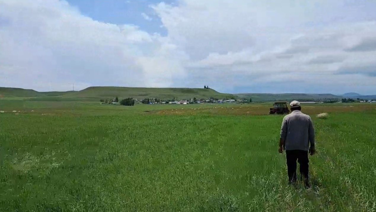 Şiddetli dolu yağışı tarım arazilerine zarar verdi