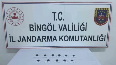 Bingöl’de jandarmanın dikkati tarihi eser kaçakçılığını önledi