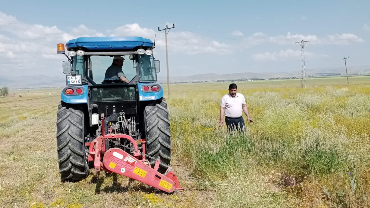 Patnos'ta yem bitkileri hasat dönemi başladı