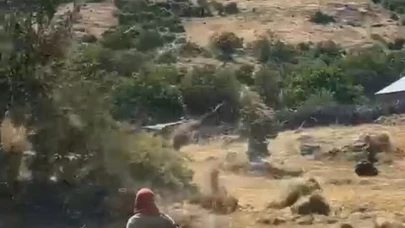 Hortum çiftçinin mahsulüne vurdu