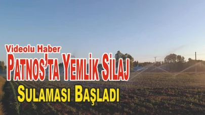 Patnos’ta Yemlik Silaj Sulaması Başladı