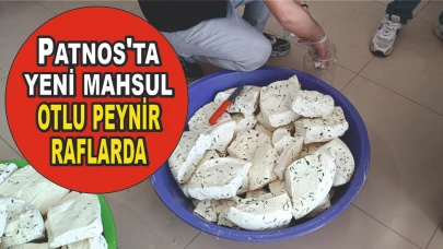 Patnos'ta yeni mahsul otlu peynir raflarda