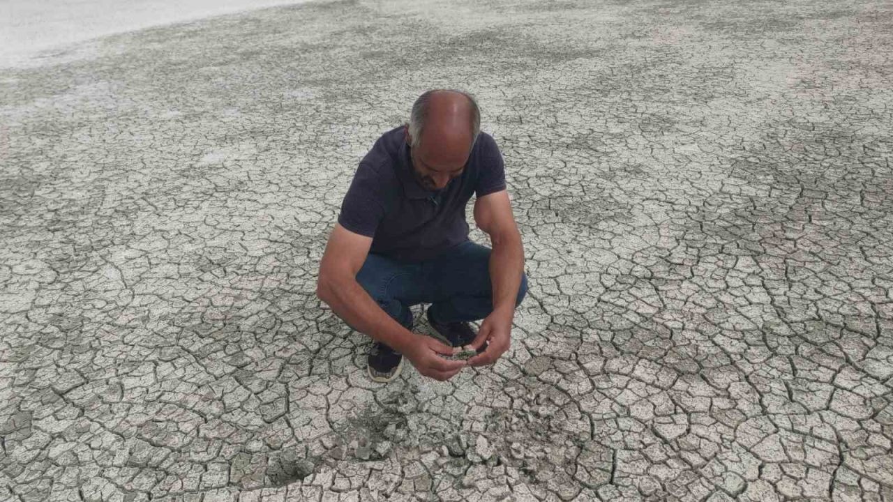 Kuraklığın Ayak Sesleri Van'dan Gelmeye Başladı
