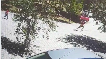 Başıboş sokak köpekleri çocuğa saldırdı