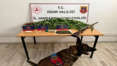 Jandarma uyuşturucu operasyonu gerçekleştirdi: 1 kişi tutuklandı