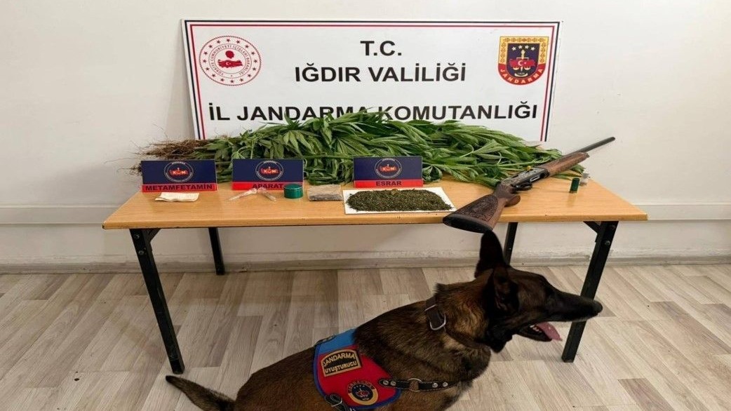 Jandarma uyuşturucu operasyonu gerçekleştirdi: 1 kişi tutuklandı
