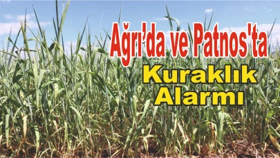 Ağrı’da ve Patnos'ta Kuraklık Alarmı