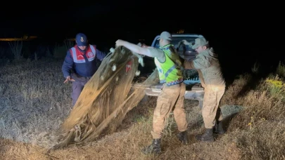Van Valiliği; 1,5 ton kaçak avlanılmış inci kefali ele geçirildi