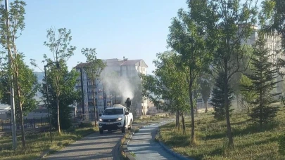 Sinek ve haşerelere karşı ilaçlama çalışmaları