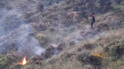 Yangın ağaçlık alana sıçradı