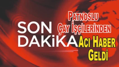 Patnos'lu Kaza Geçiren Çay İşçilerinden Acı Haber Geldi.