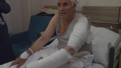 Çataklı Çiftçi Kurt Saldırısına Uğradı