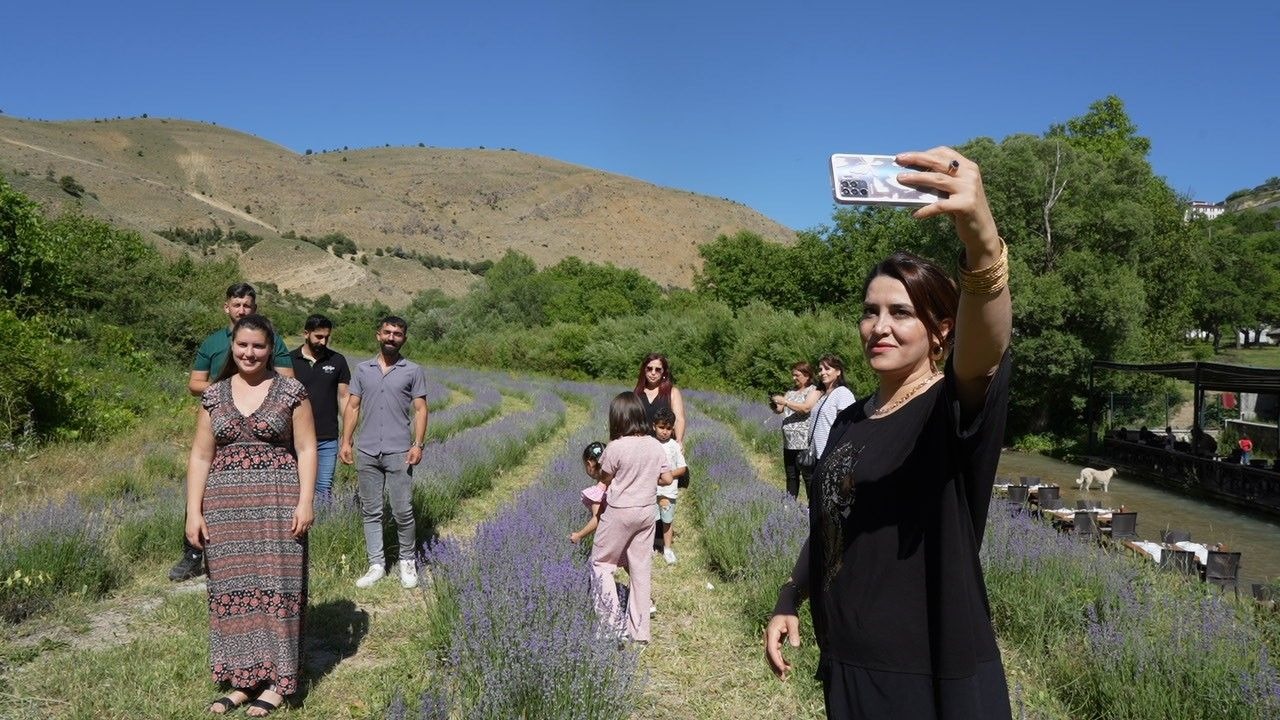 Erzincan'da emekli öğretmenin kurduğu lavanta bahçesi dünyanın dört bir yanından misafirlerini ağırlıyor