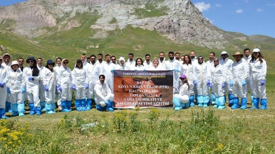 Hakkari’de şap ve koyun keçi vebası tatbikatı yapıldı