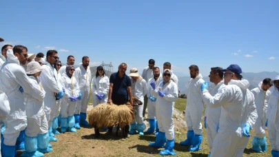 Şap Hastalığı için Van ve Hakkari'de karantina ve aşılama çalışmaları