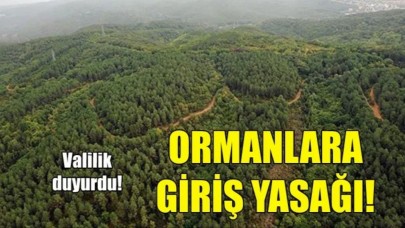 47 İlde ormanlara girmek yasak