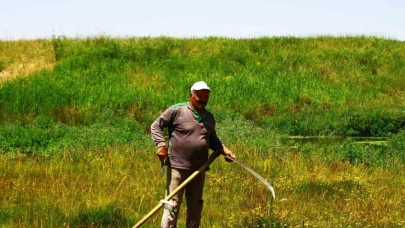Muş'un Malazgirt ilçesinde tırpanın son ustası