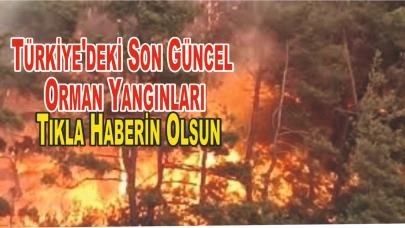 Türkiye'deki Son Güncel Orman Yangınları Tıkla Haberin Olsun