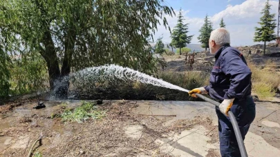 Meyve bahçesinde çıkan yangın maddi hasara neden oldu