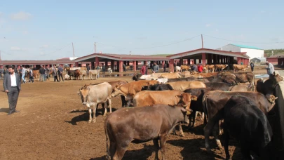 Ağrı Hayvan Borsası Geçici Süreyle Kapatıldı