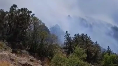 Van’ın Gevaş ilçesinde orman yangını