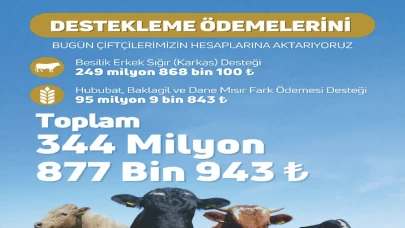 Devletten Çiftçilere Dev Tarımsal Destek Ödemesi