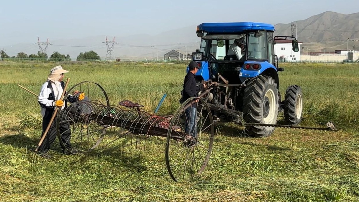 Çiftçinin kızgın güneş altındaki ot biçme mücadelesi