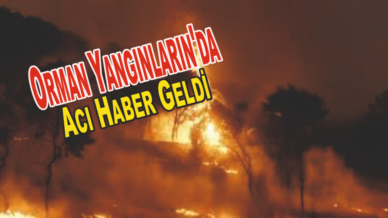 Orman Yangınların'da Acı Haber Geldi